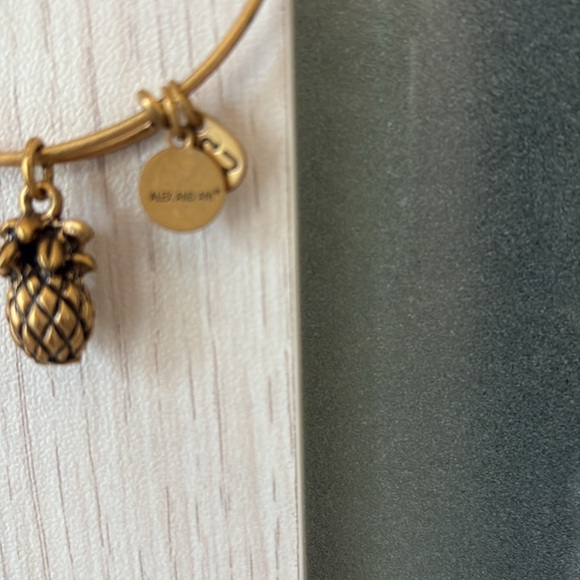 Alex and Ani $ Goldtone Pineapple Charm Bangle - Picture 3 of 4